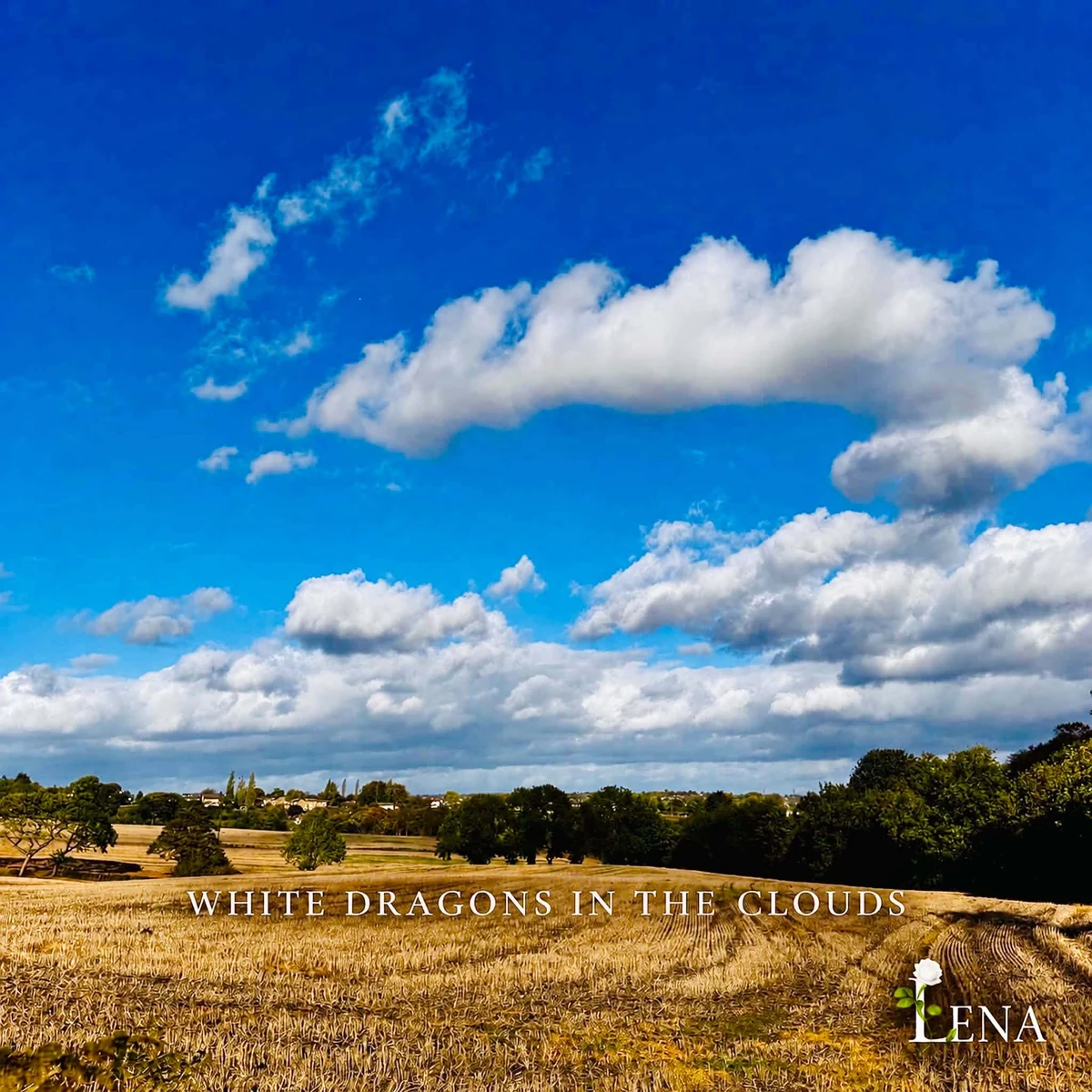 White Dragons in the Clouds single artwork: a real Yorkshire wheat field beneath a vivid blue sky and white clouds, with LENA's white rose logo